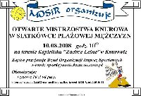 Plakat - piłka siatkowa-plażowa 2.JPG